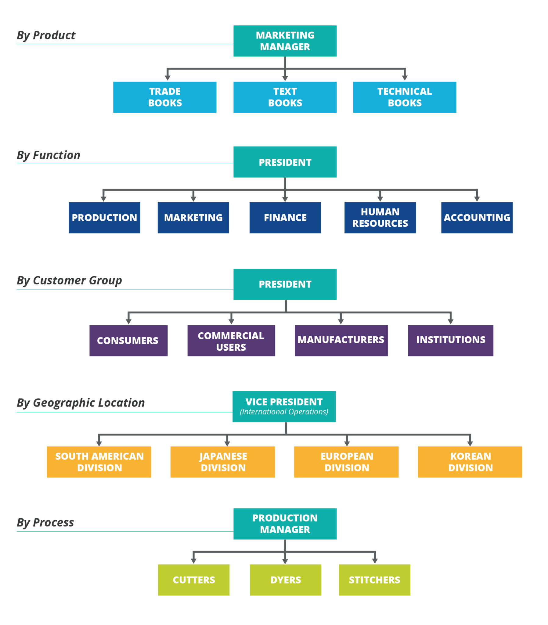 organizational chart business plan sample