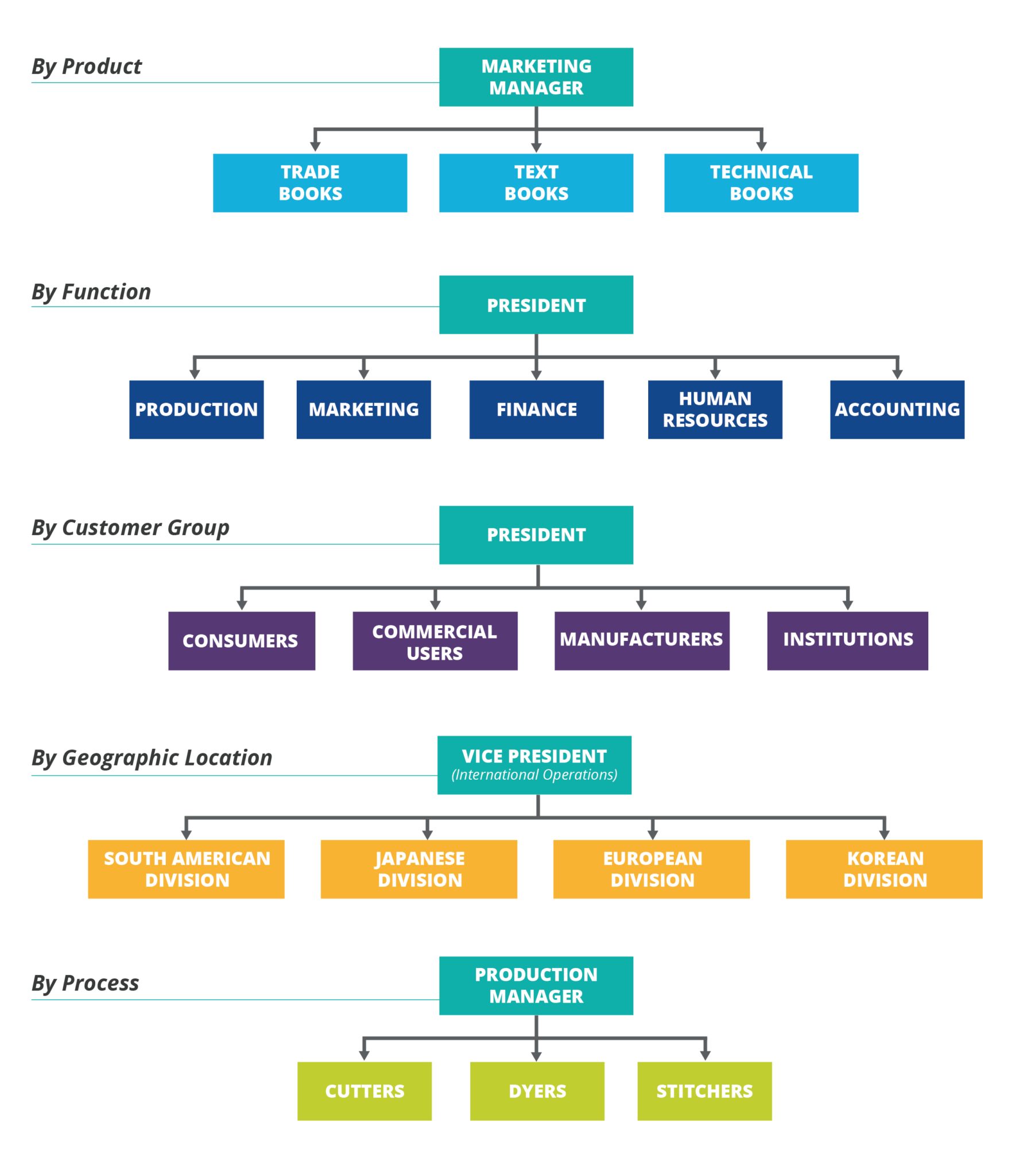 Example Of Organizational Chart In Business