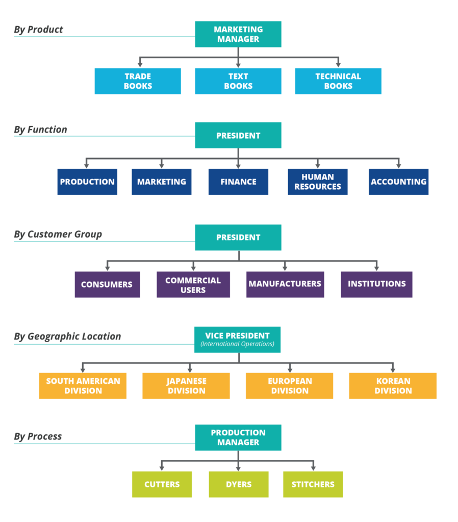 organizational chart for small business examples