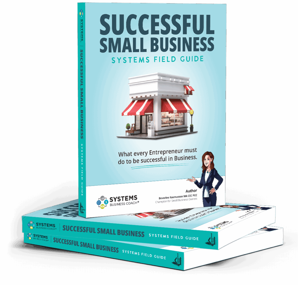 The Successful Small Business Systems Field Guide, a complete systems manual that helps small business owners organize, simplify, and systematize their business for profit.