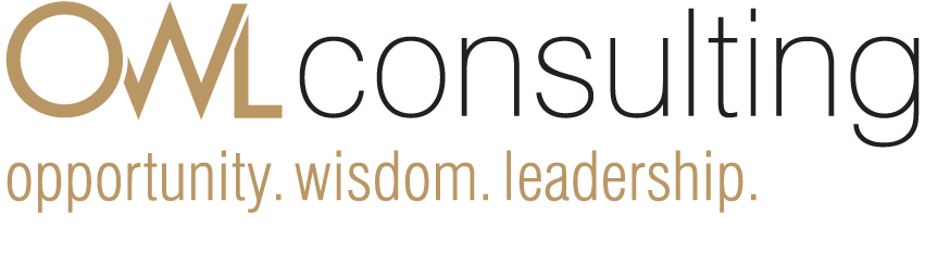 Owl Consulting Opportunity, Wisdom, and Leadership