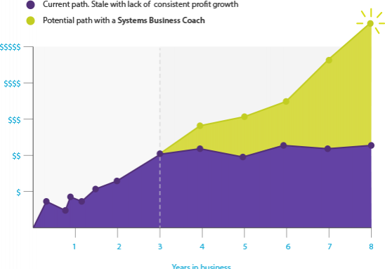 Potential Business Growth with a Systems Business Coach