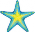 Seastar Coaching Logo